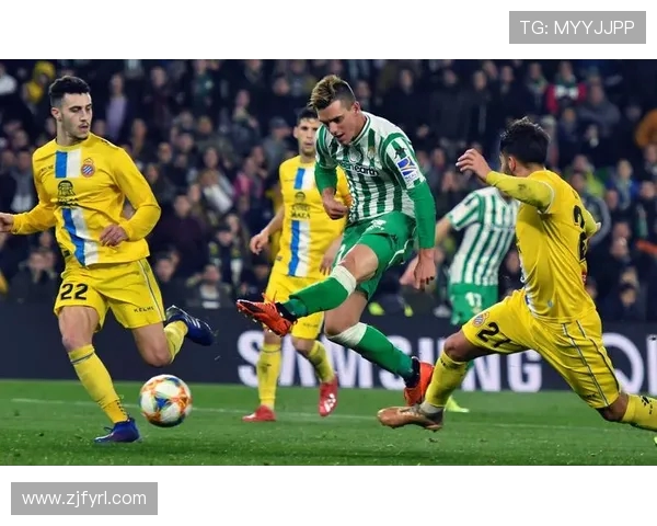 海牙主场迎战费耶诺德期待精彩对决与激烈竞争