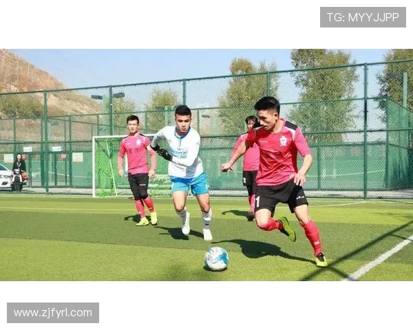 成都羽毛球队在城市联赛中的强劲表现与未来发展潜力分析